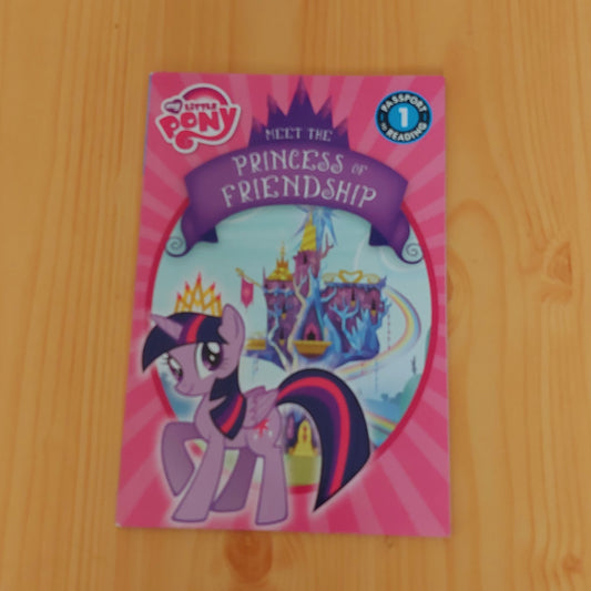 My Little Pony: Meet the Princess of Friendship  (Level 1)