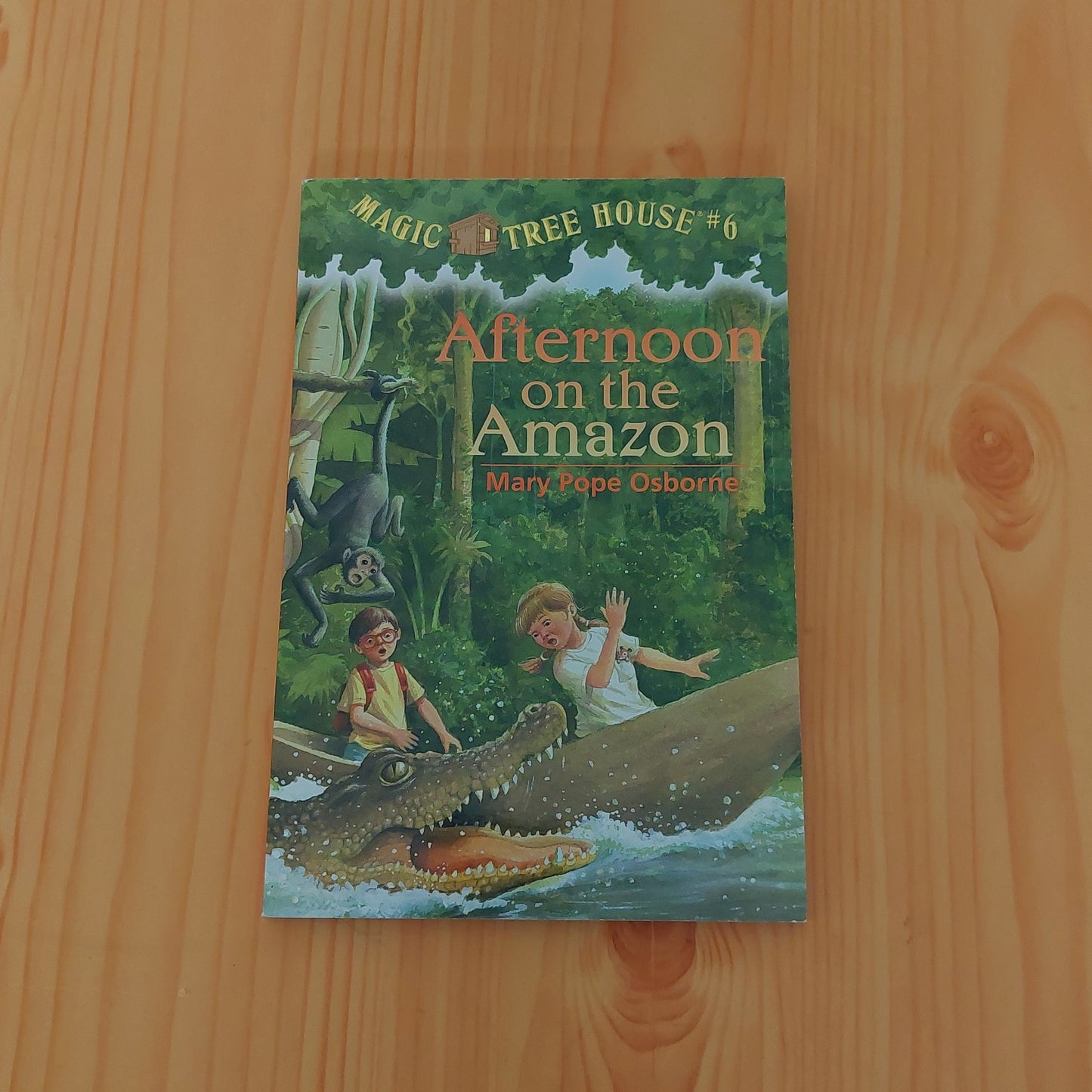 Magic Tree House #6 Afternoon on the Amazon