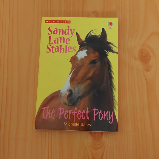 Sandy Lane Stables: The Perfect Pony