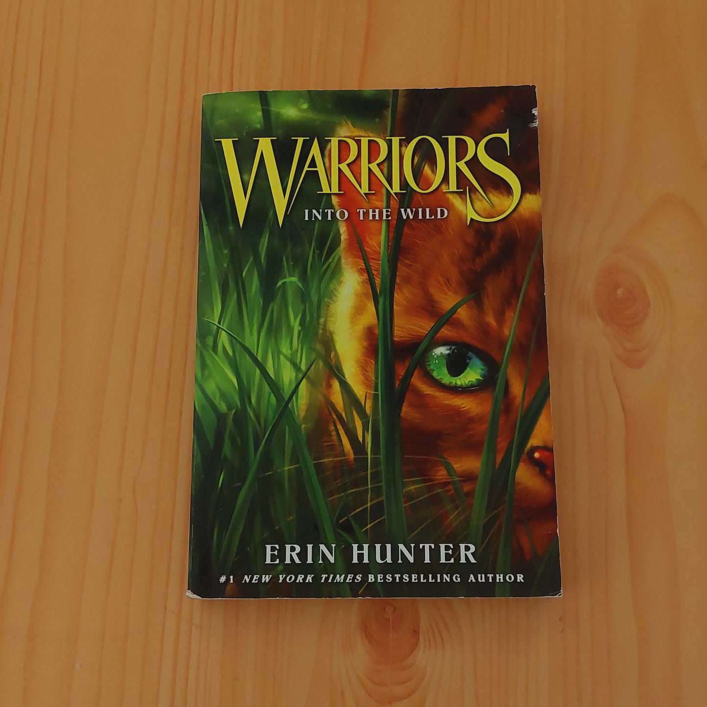 Warriors #1: Into the Wild