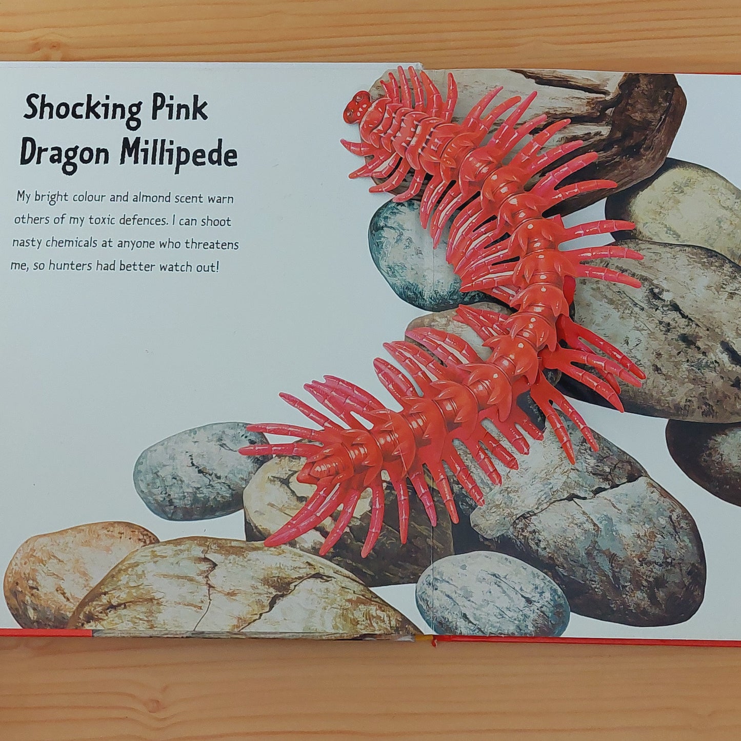 Creepy-Crawlers (Pop-Up Book)