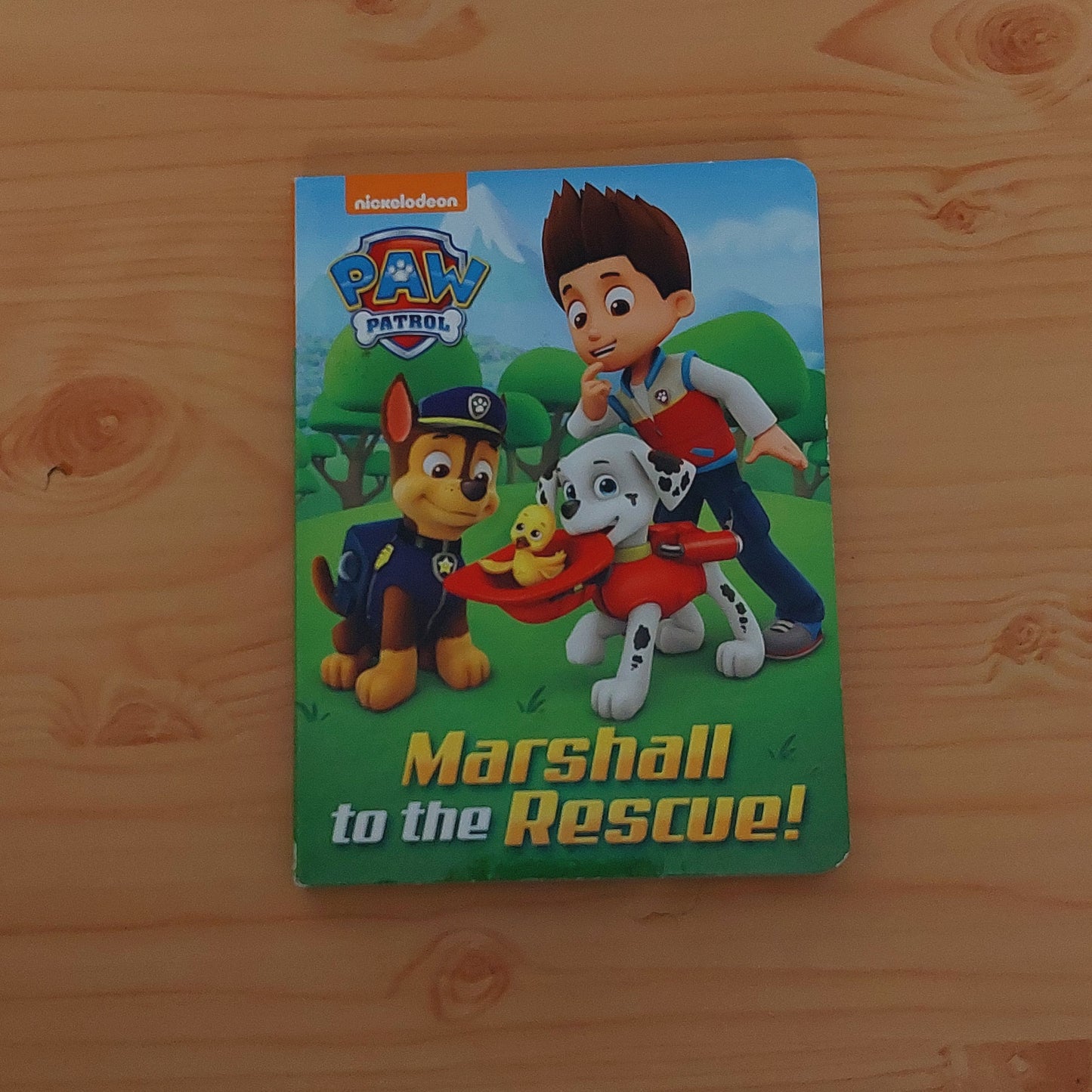 Paw Patrol - Marshall to the Rescue