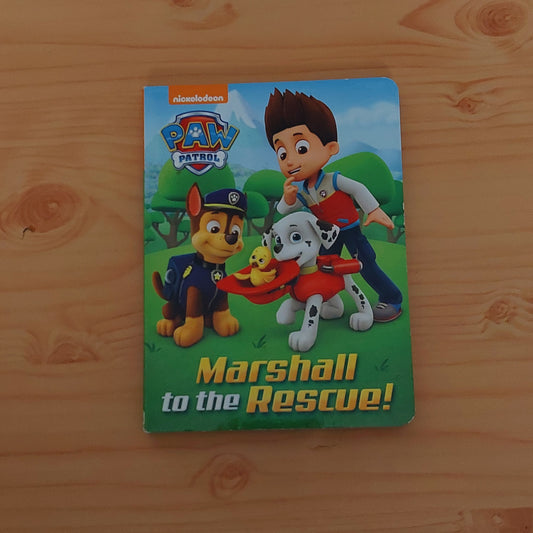 Paw Patrol - Marshall to the Rescue