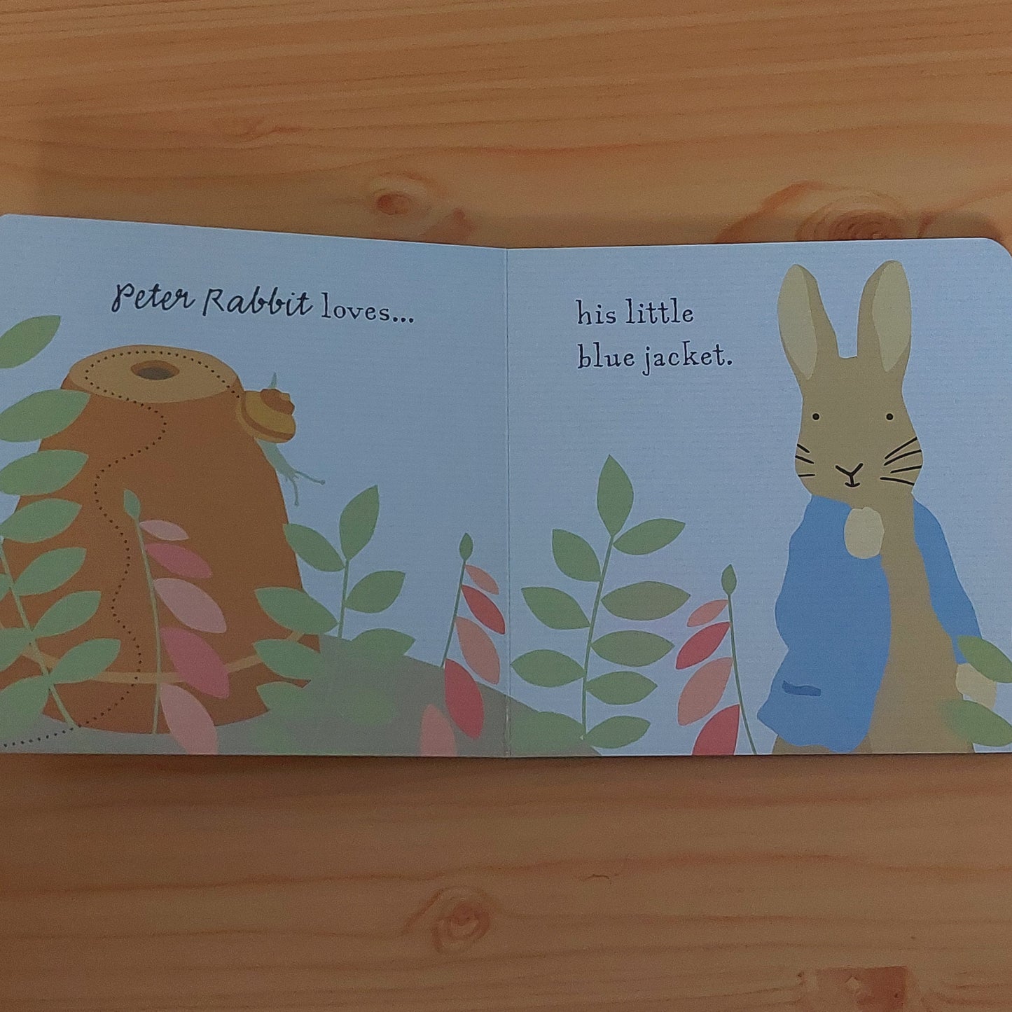 Peter Rabbit loves...