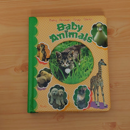 Baby Animals