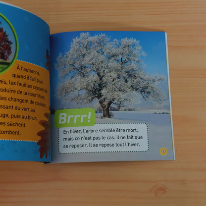 National Geographic Kids : J'explore Le Monde : Les Arbres