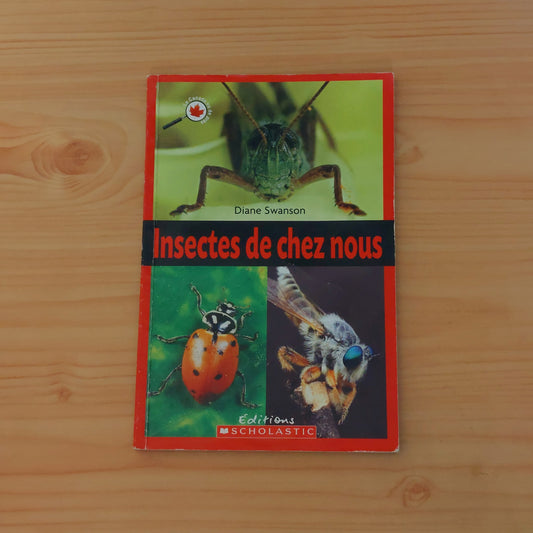 Insectes de chez nous