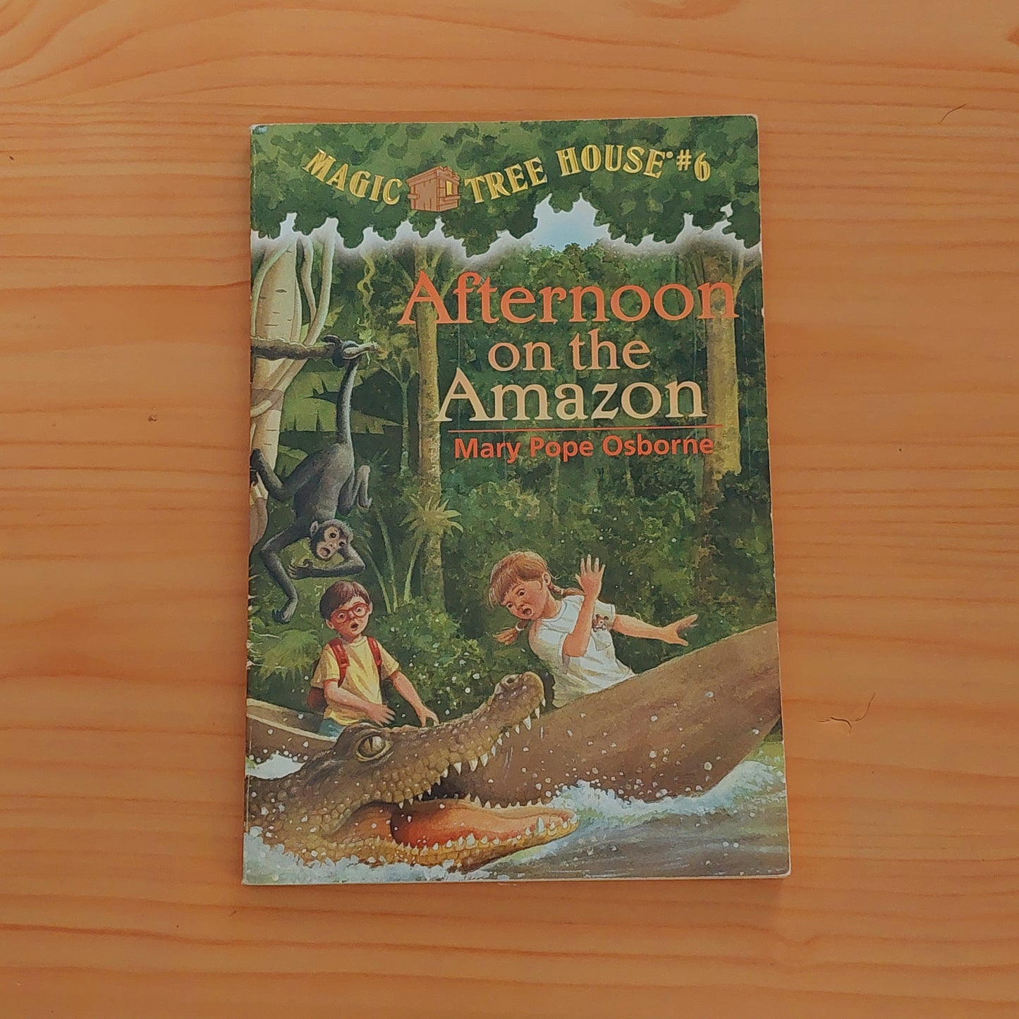 Magic Tree House - Afternoon on the Amazon