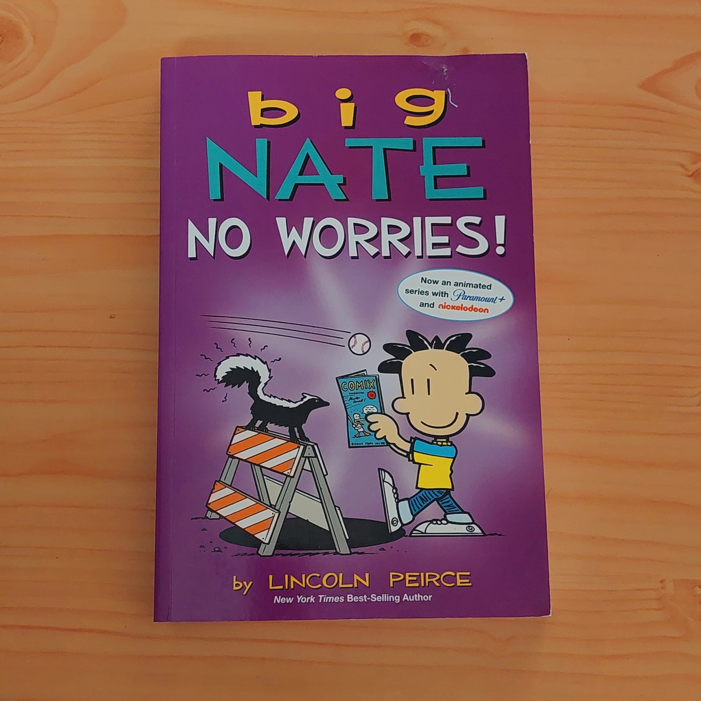 Big Nate: No Worries