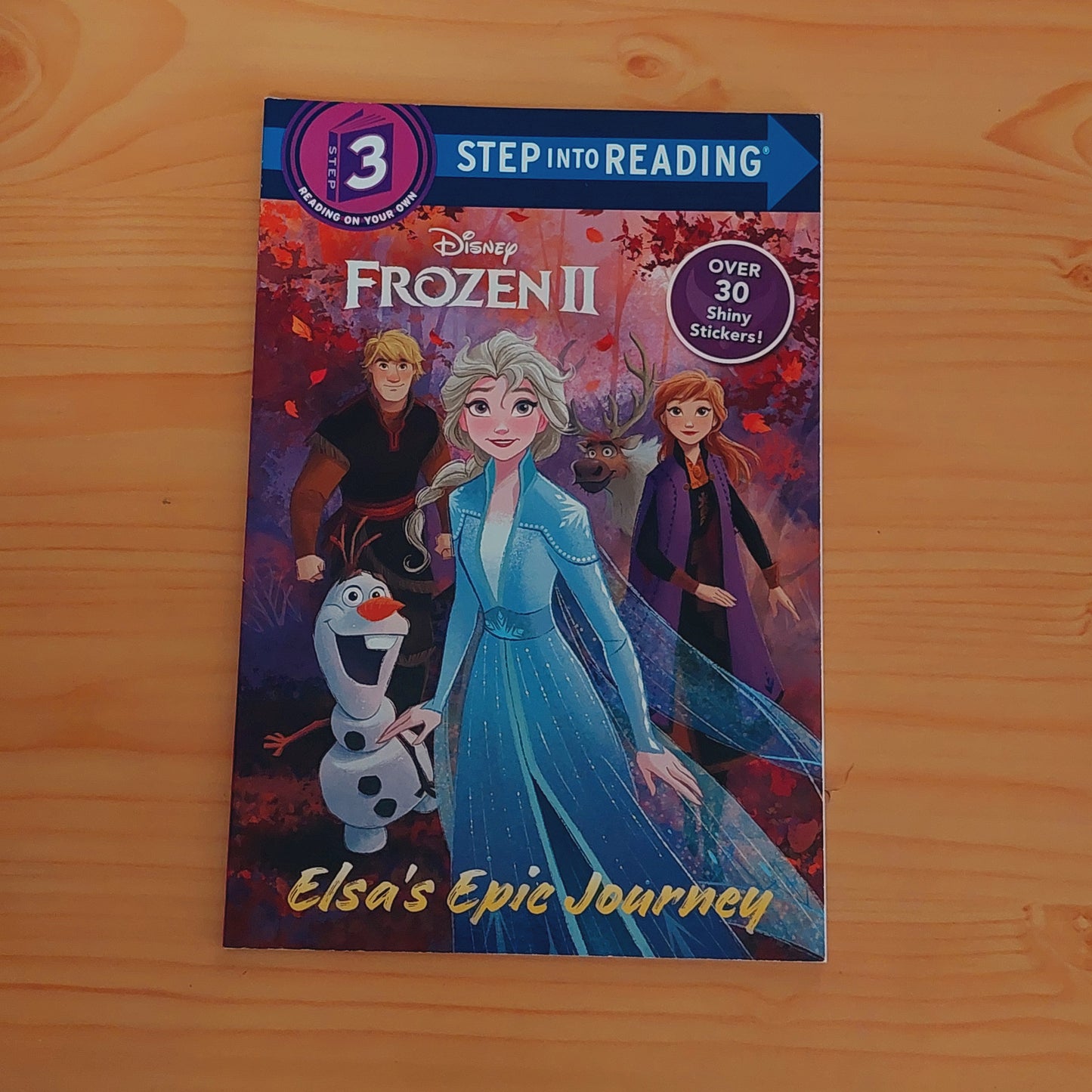 Elsa's Epic Journey (Disney Frozen 2) (Level 3)