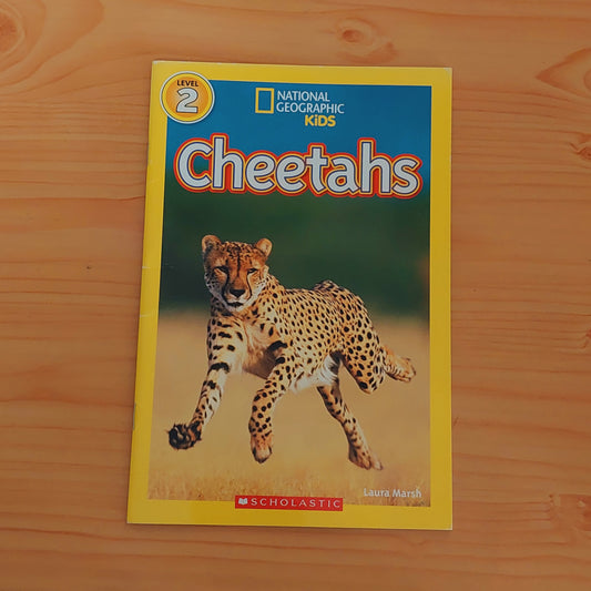 Cheetahs