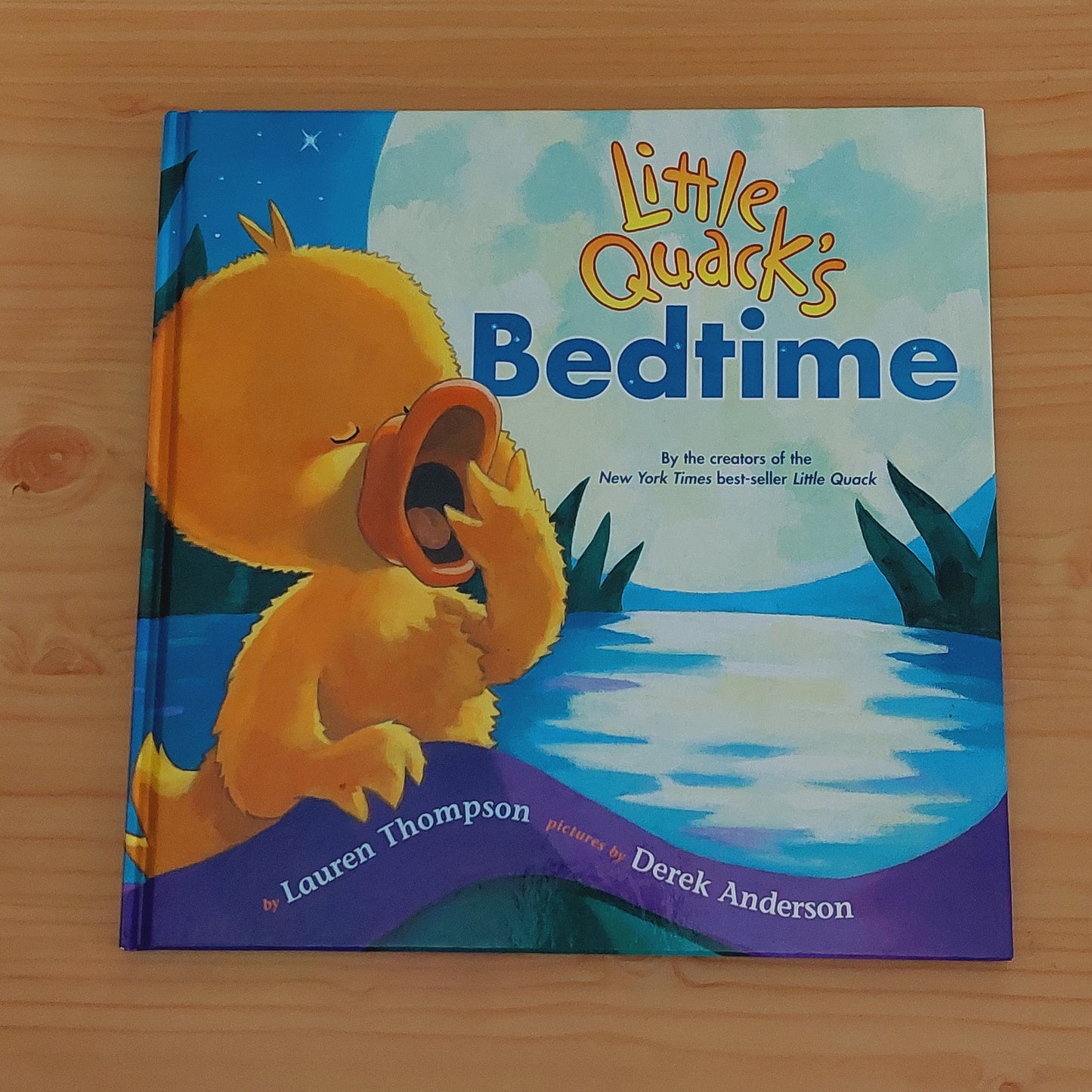 Little Quack's Bedtime