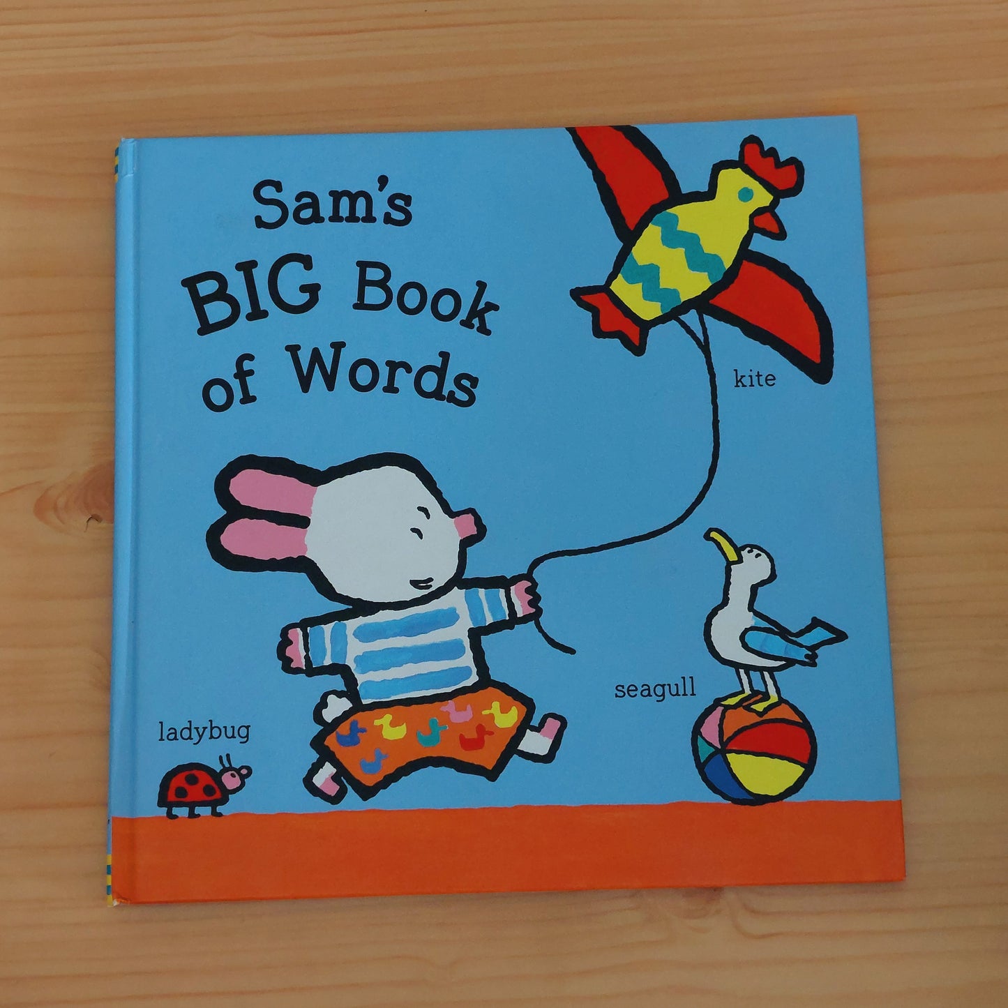 Sam's Big Book of Words