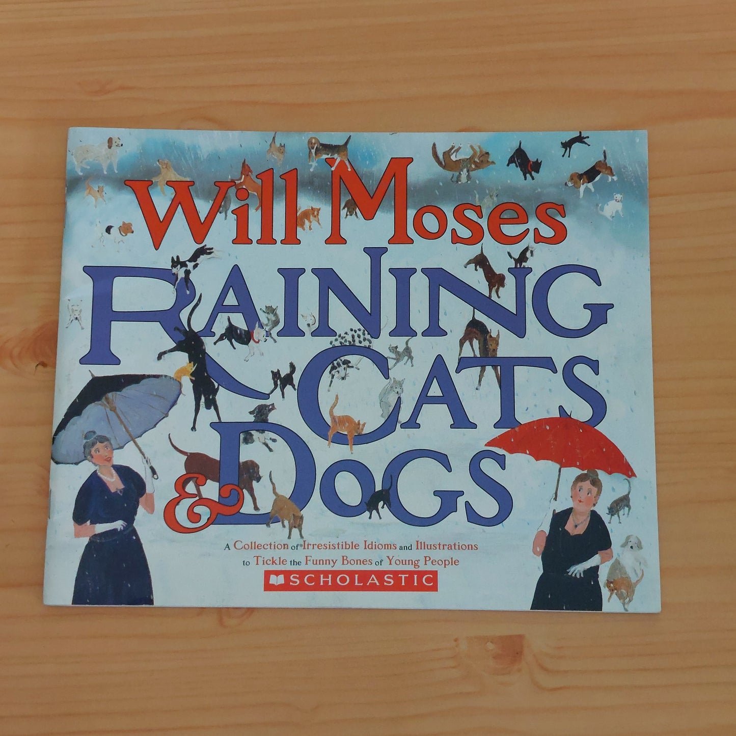 Raining Cats & Dogs