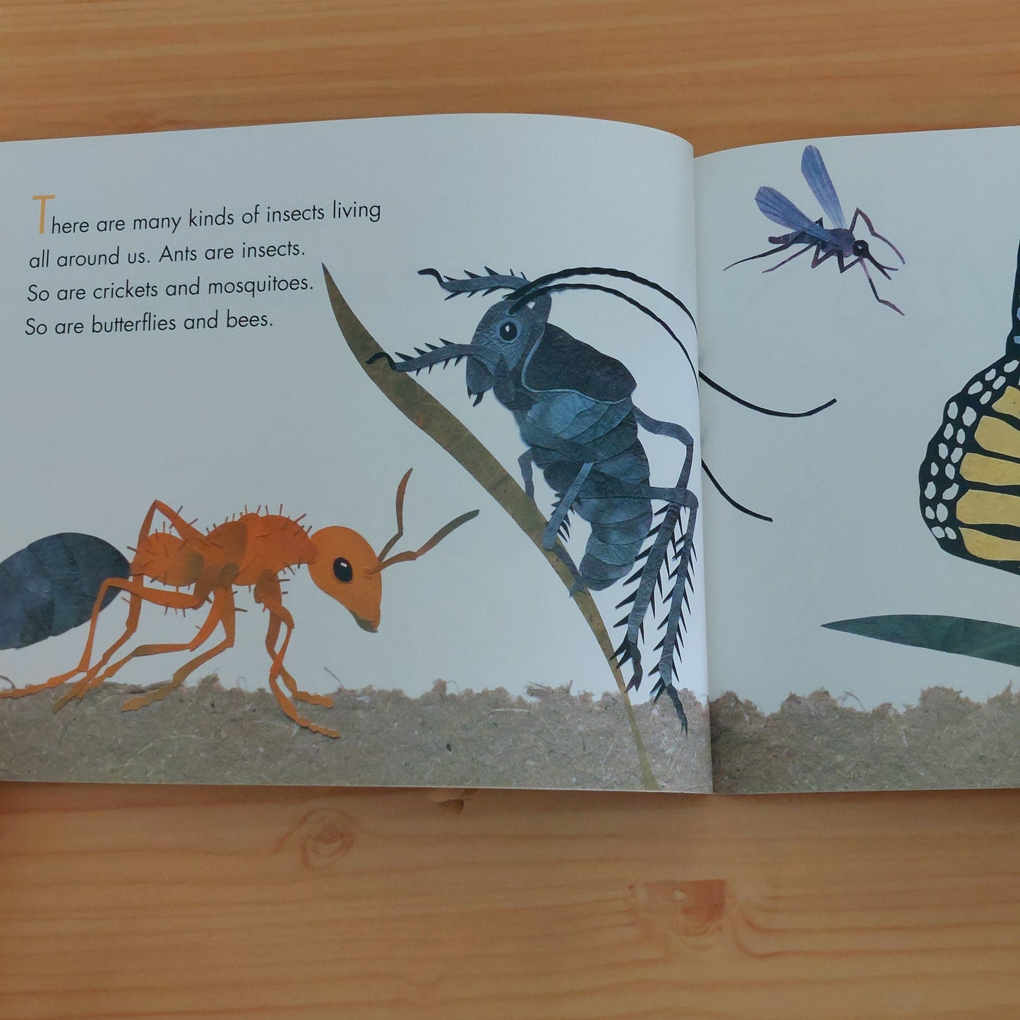 Bugs Are Insects (Let's Read and Find Out Science: Stage 1)