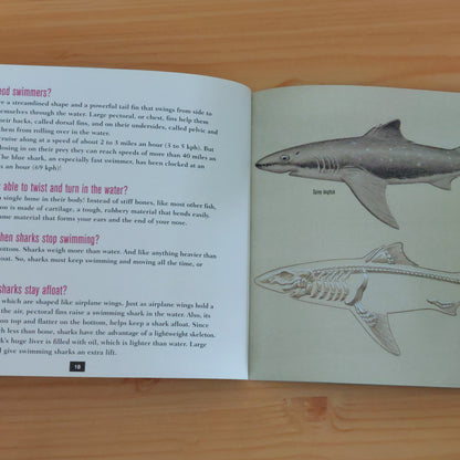 What Do Sharks Eat for Dinner? (Scholastic Question and Answer Series)