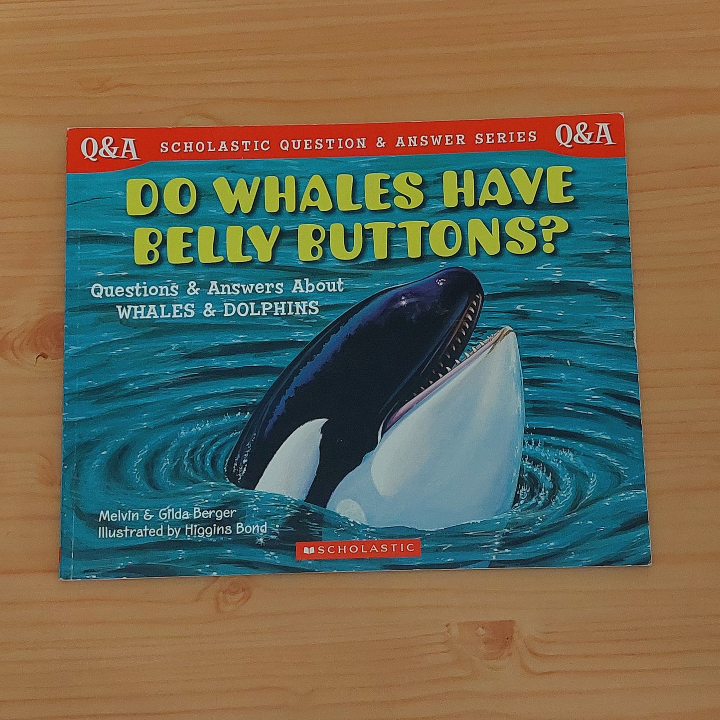 Do Whales Have Belly Buttons? (Scholastic Question and Answer Series)