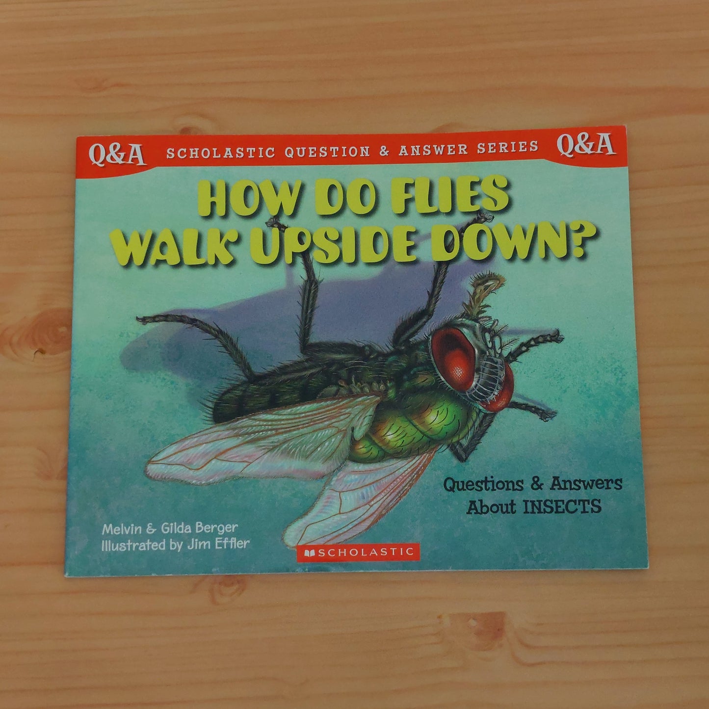 How Do Flies Walk Upside Down? (Scholastic Question and Answer Series)