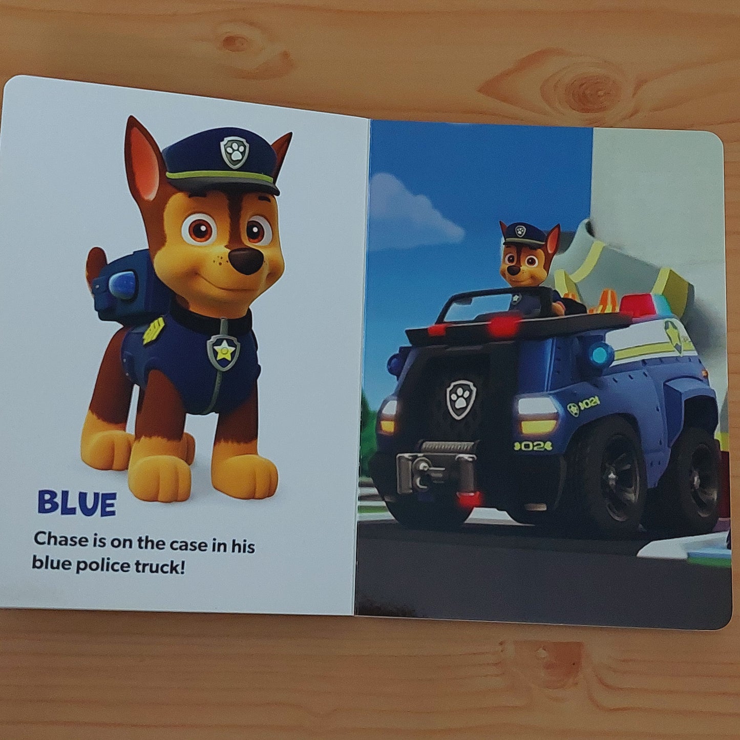 Team Colors (Paw Patrol)