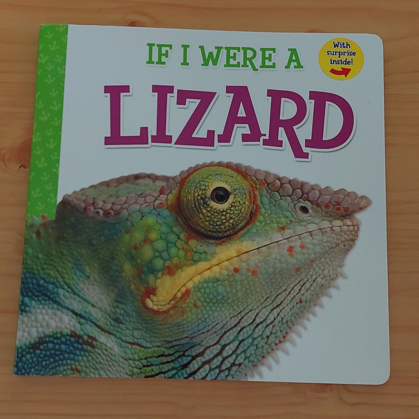 If I Were a Lizard