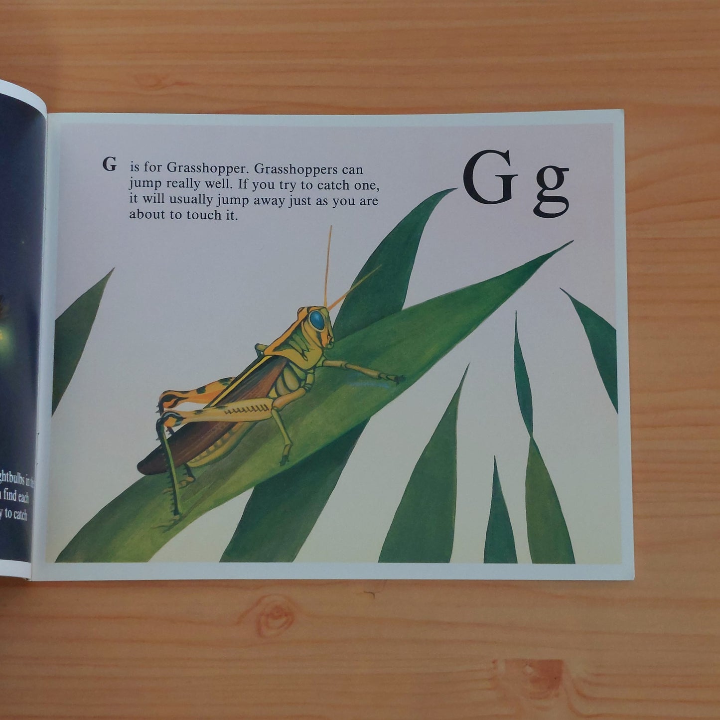 The Icky Bug - Alphabet Book