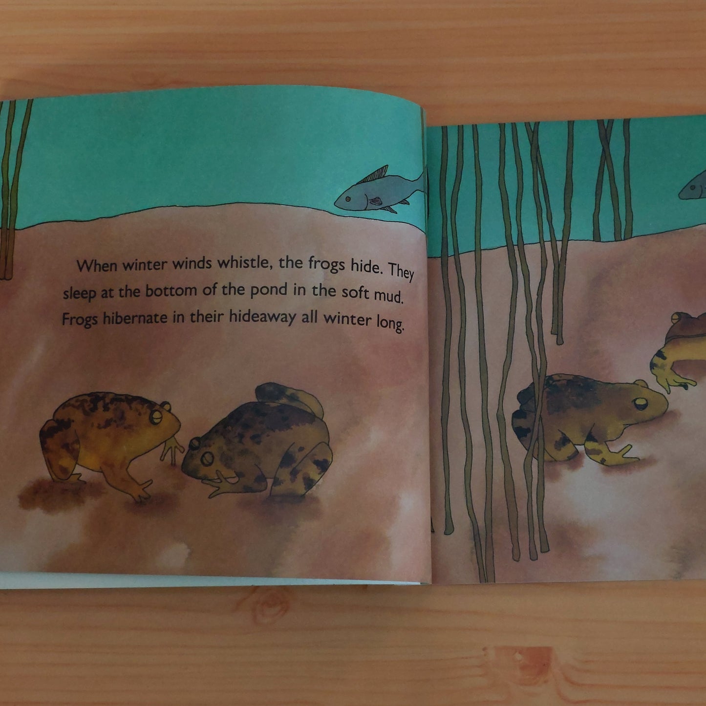 From Tadpole to Frog (Let's Read and Find Out Science: Stage 1)