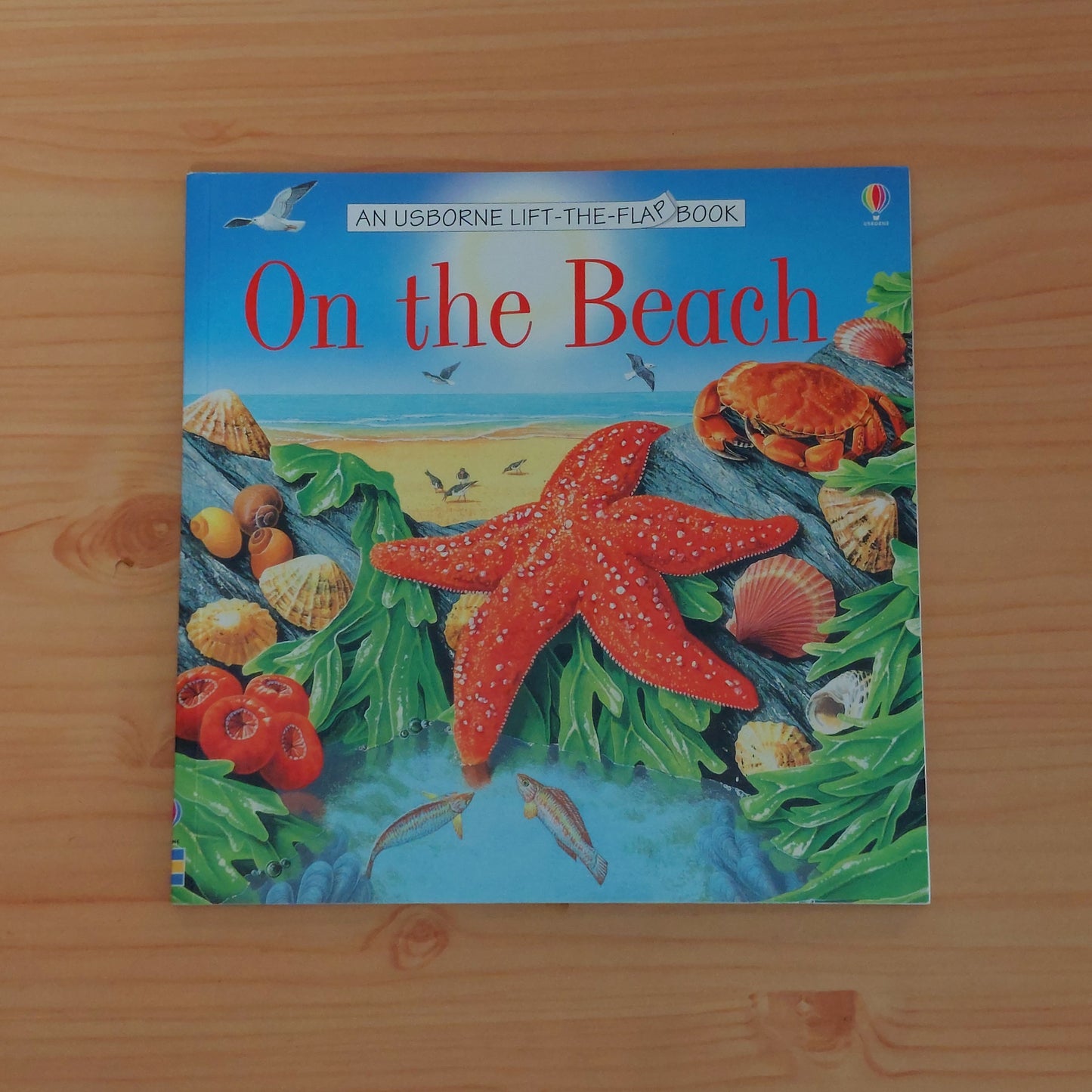 On the Beach - An Usborne Lift-the-Flap Book