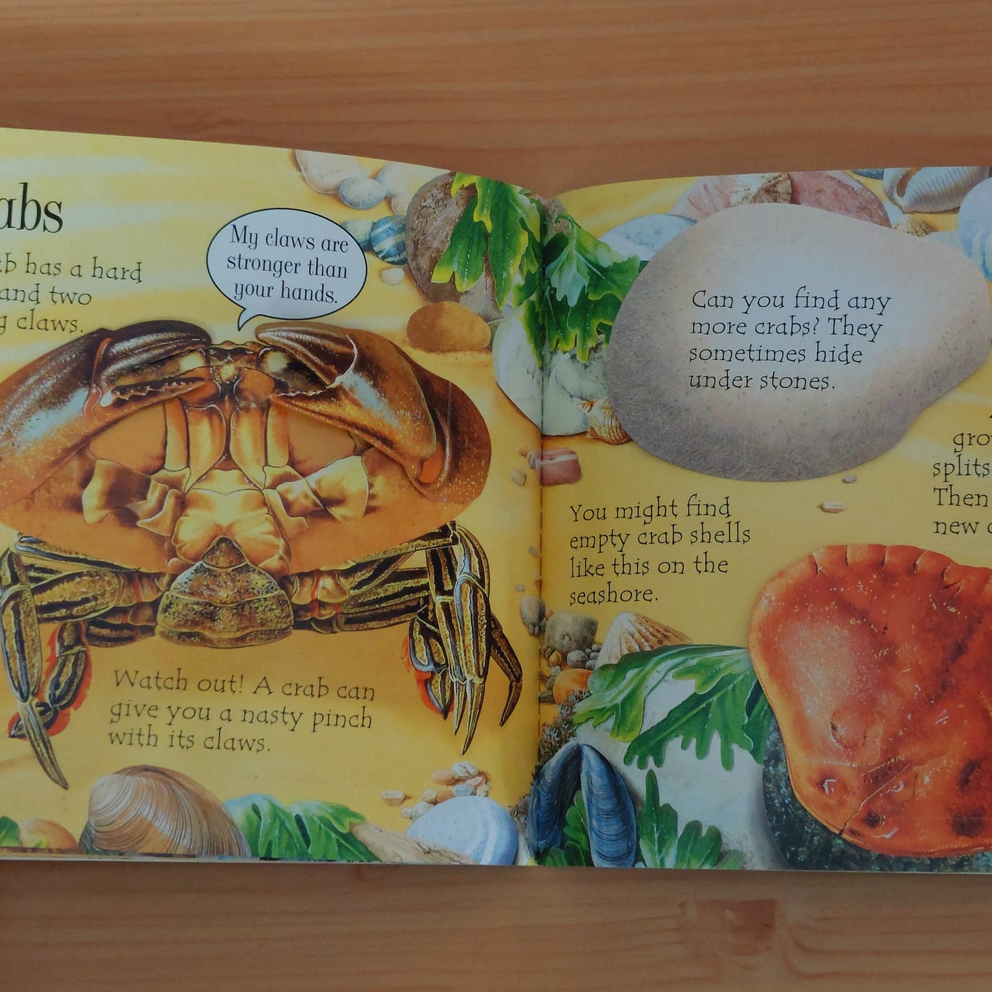 On the Beach - An Usborne Lift-the-Flap Book