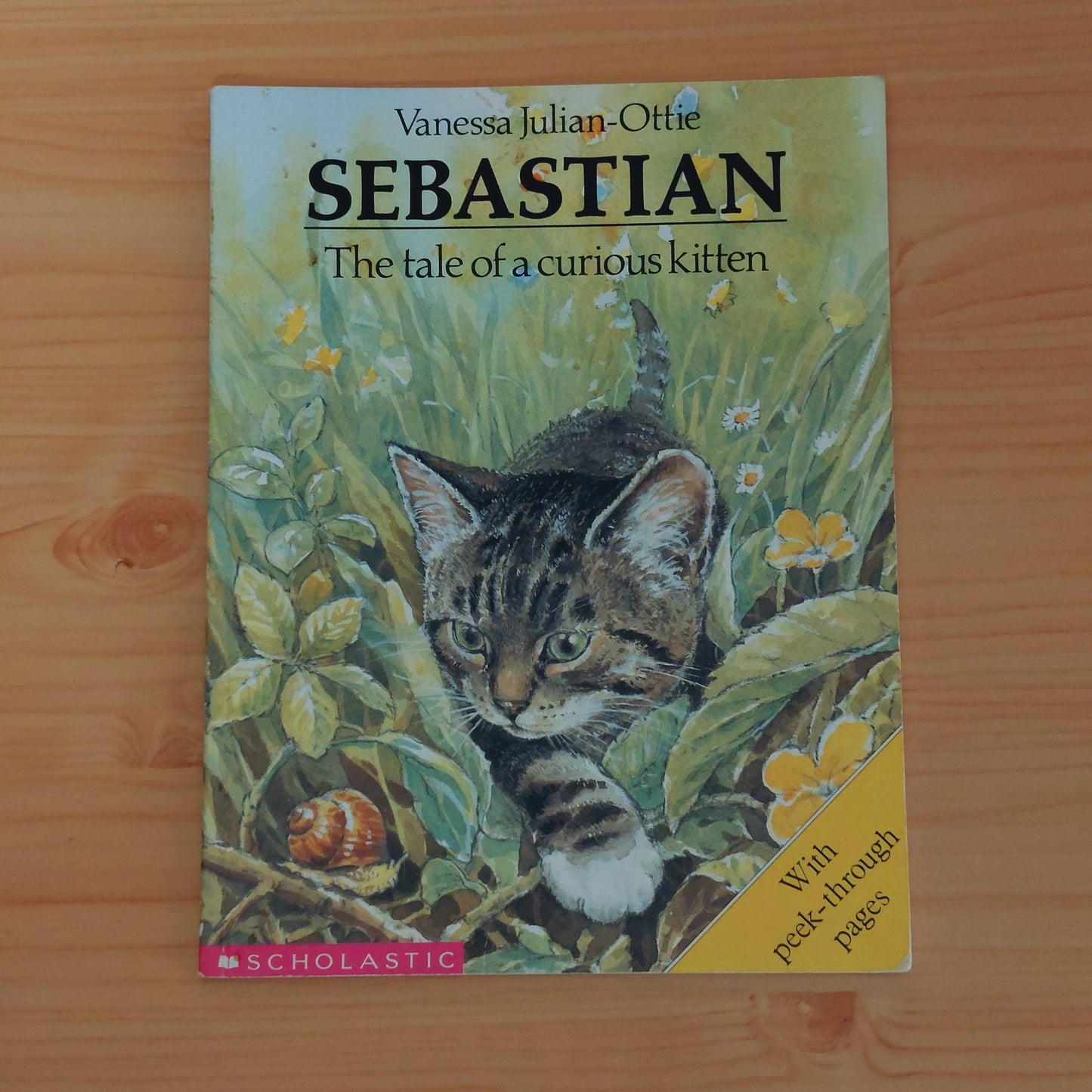 Sebastian - The Tale of a Curious Kitten