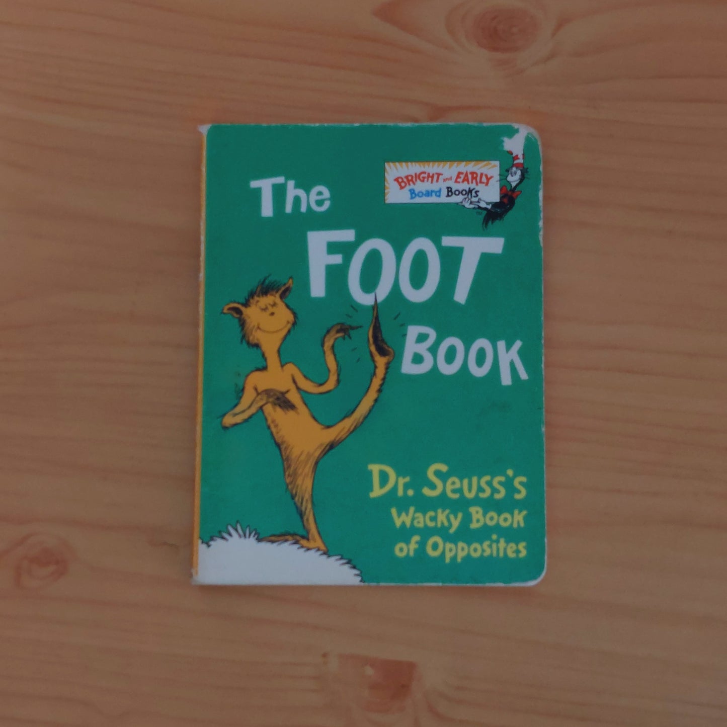 The Foot Book