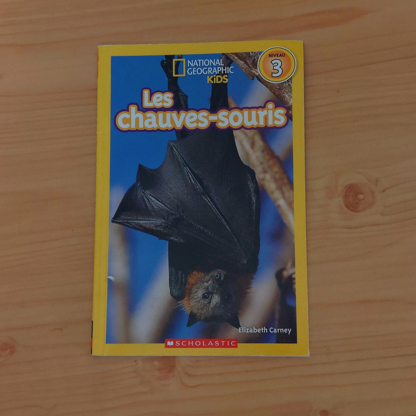 Les chauves-souris (National Geographic Kids: Niveau 3)