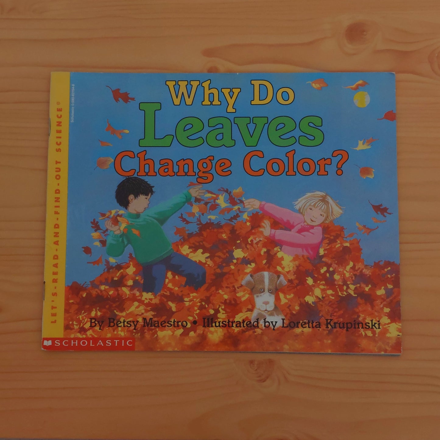 Why Do Leaves Change Colour?