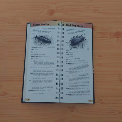 Insects - Animal Fact Files