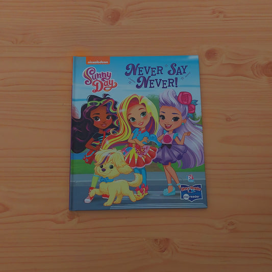 Sunny Day - Never Say Never!