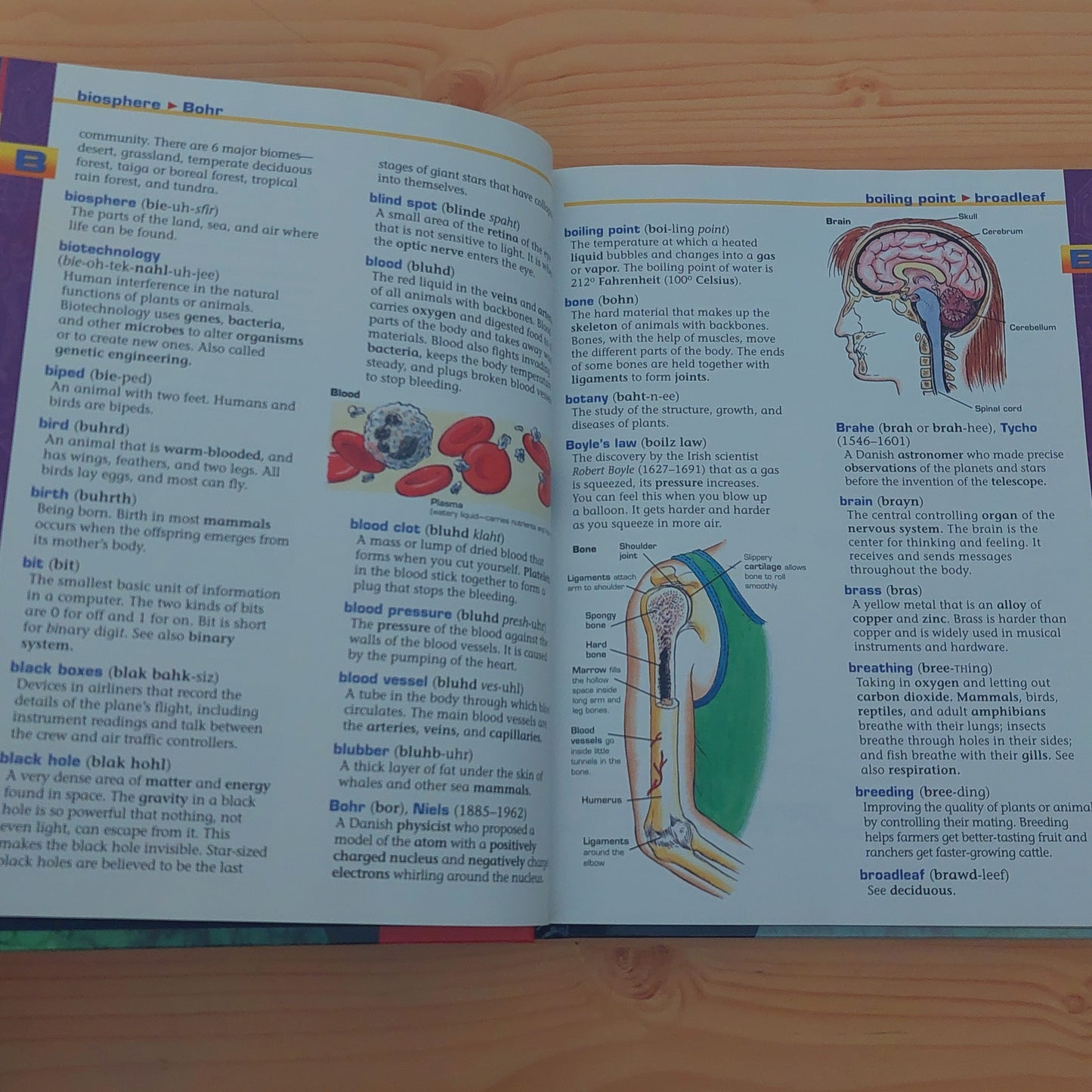 Scholastic Science Dictionary