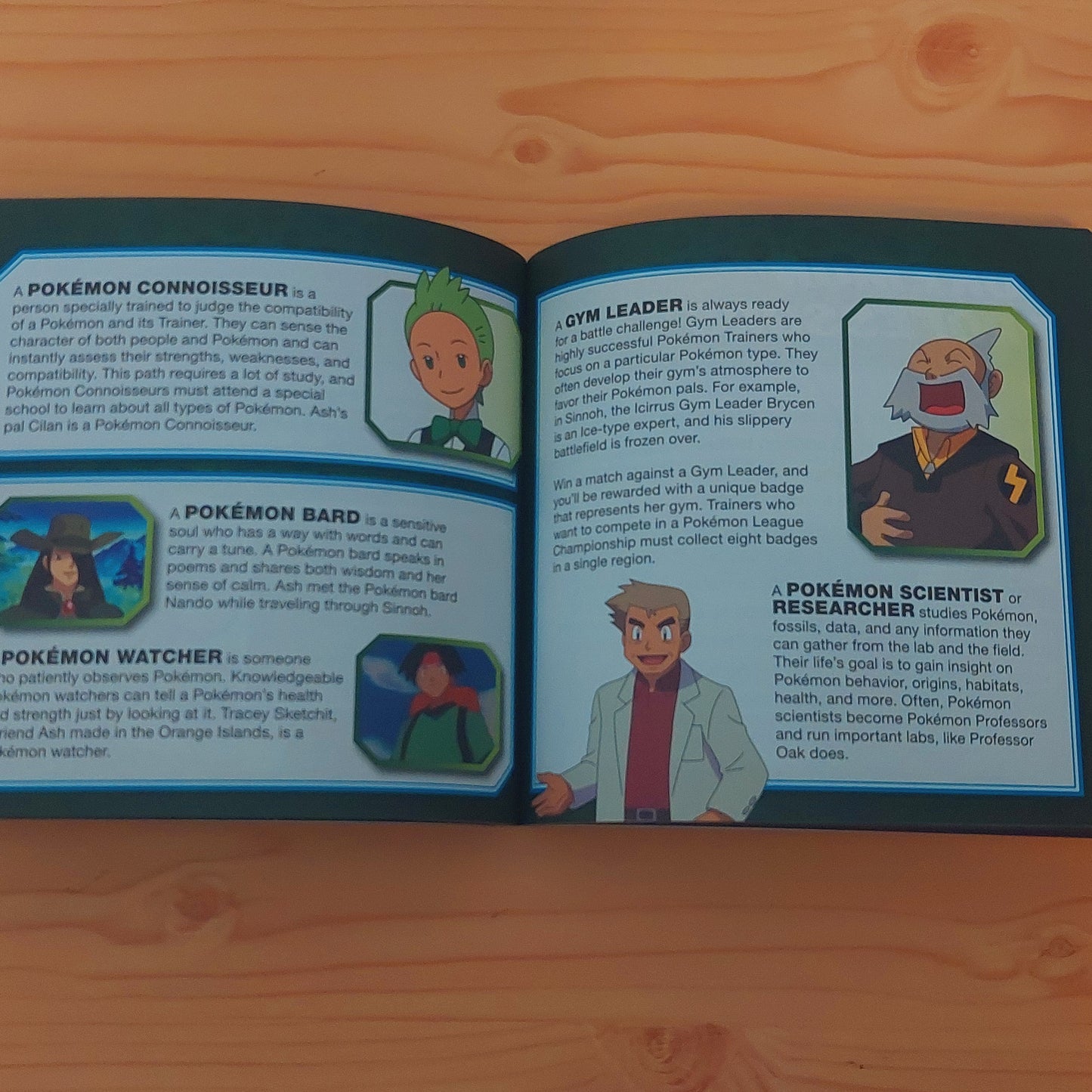 Pokémon - Training Manual