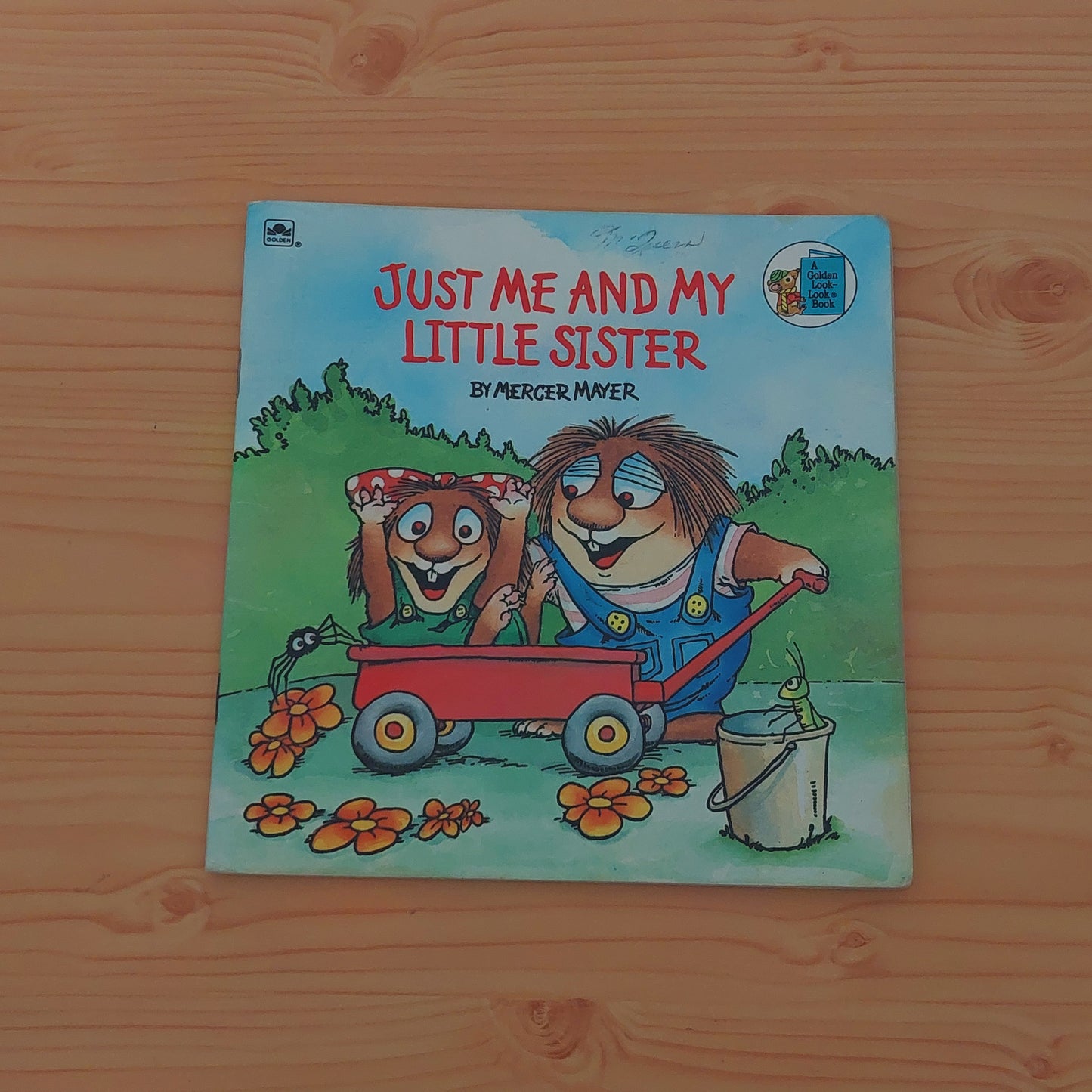 Little Critter - Just Me and My Sister