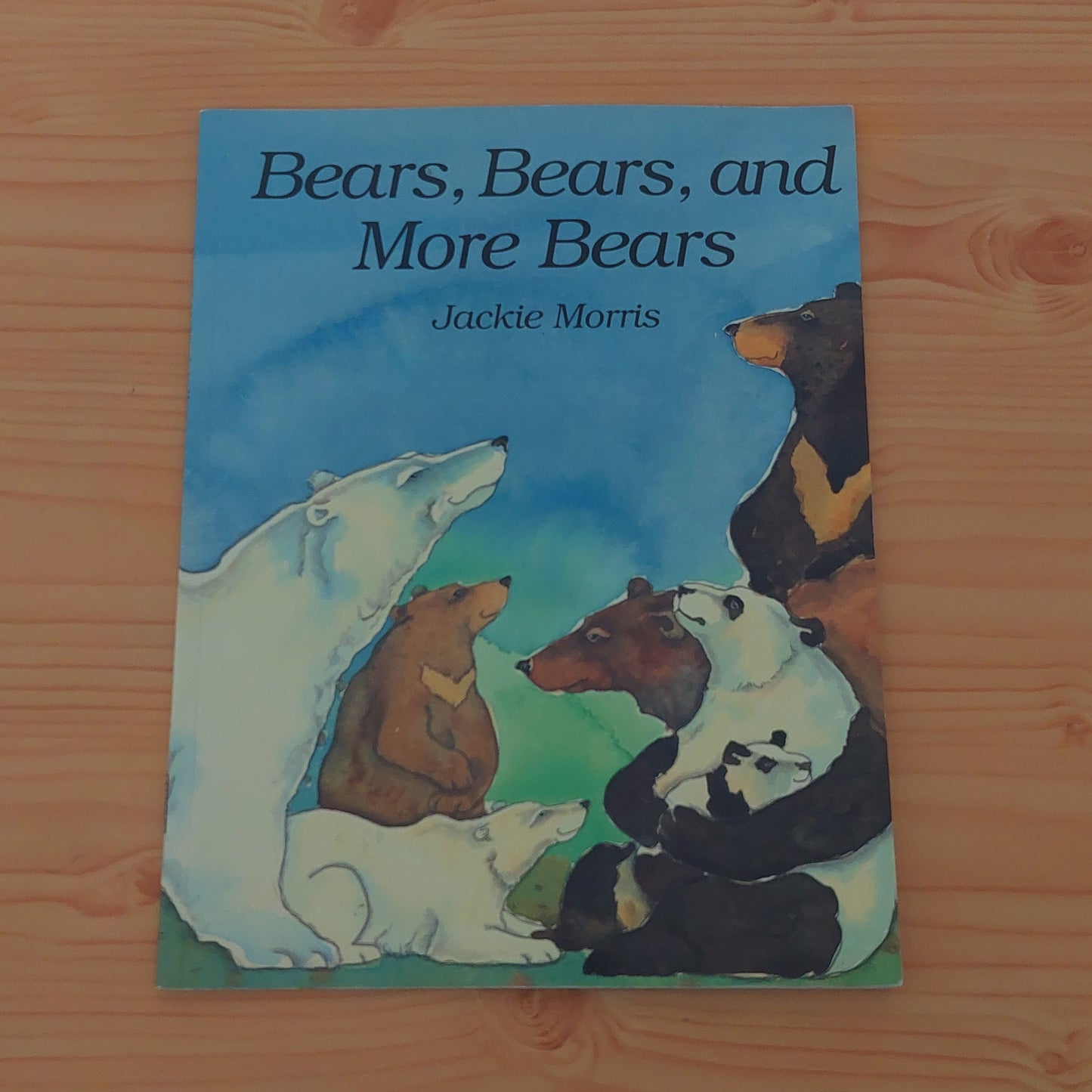 Bears, Bears, and More Bears