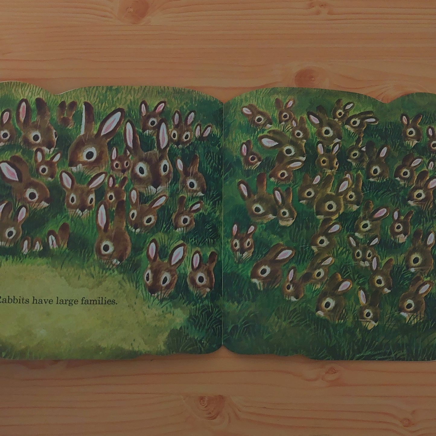 The Bunny Book