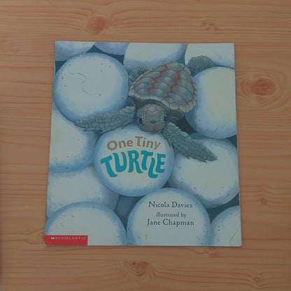 One Tiny Turtle