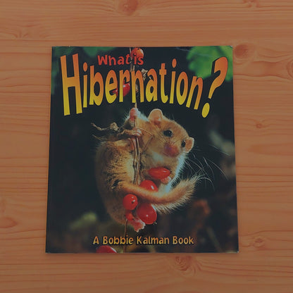 What Is Hibernation?