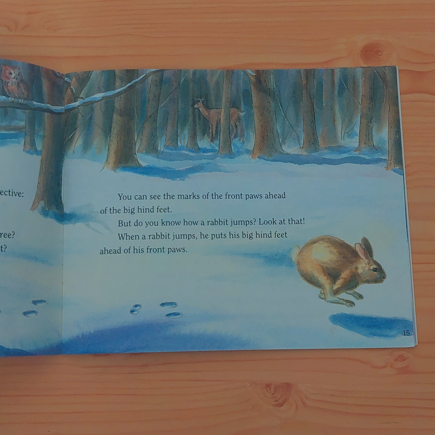 Big Tracks, Little Tracks - Following Animal Prints (Let's Read and Find Out Science - Stage 1)