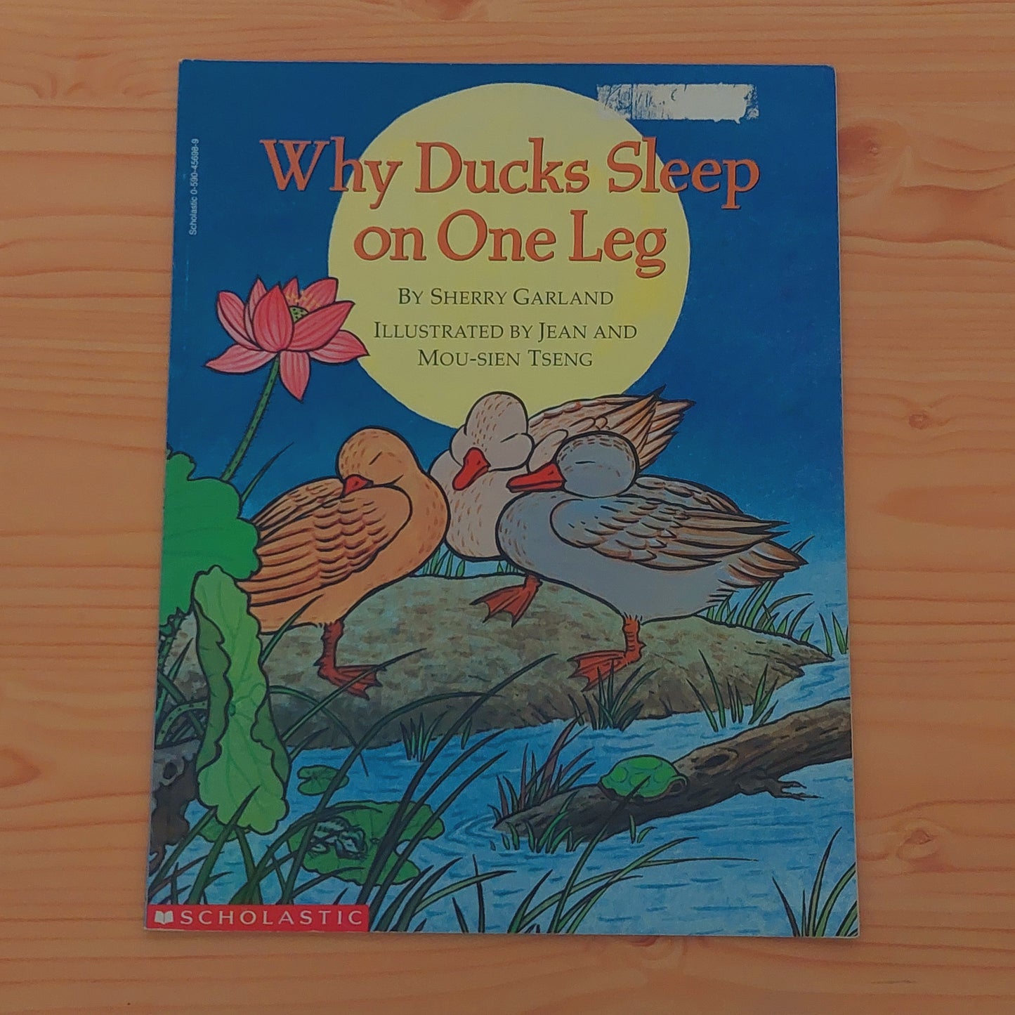 Why Ducks Sleep on One Leg?