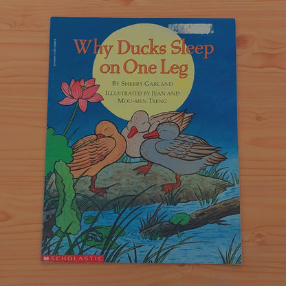 Why Ducks Sleep on One Leg?