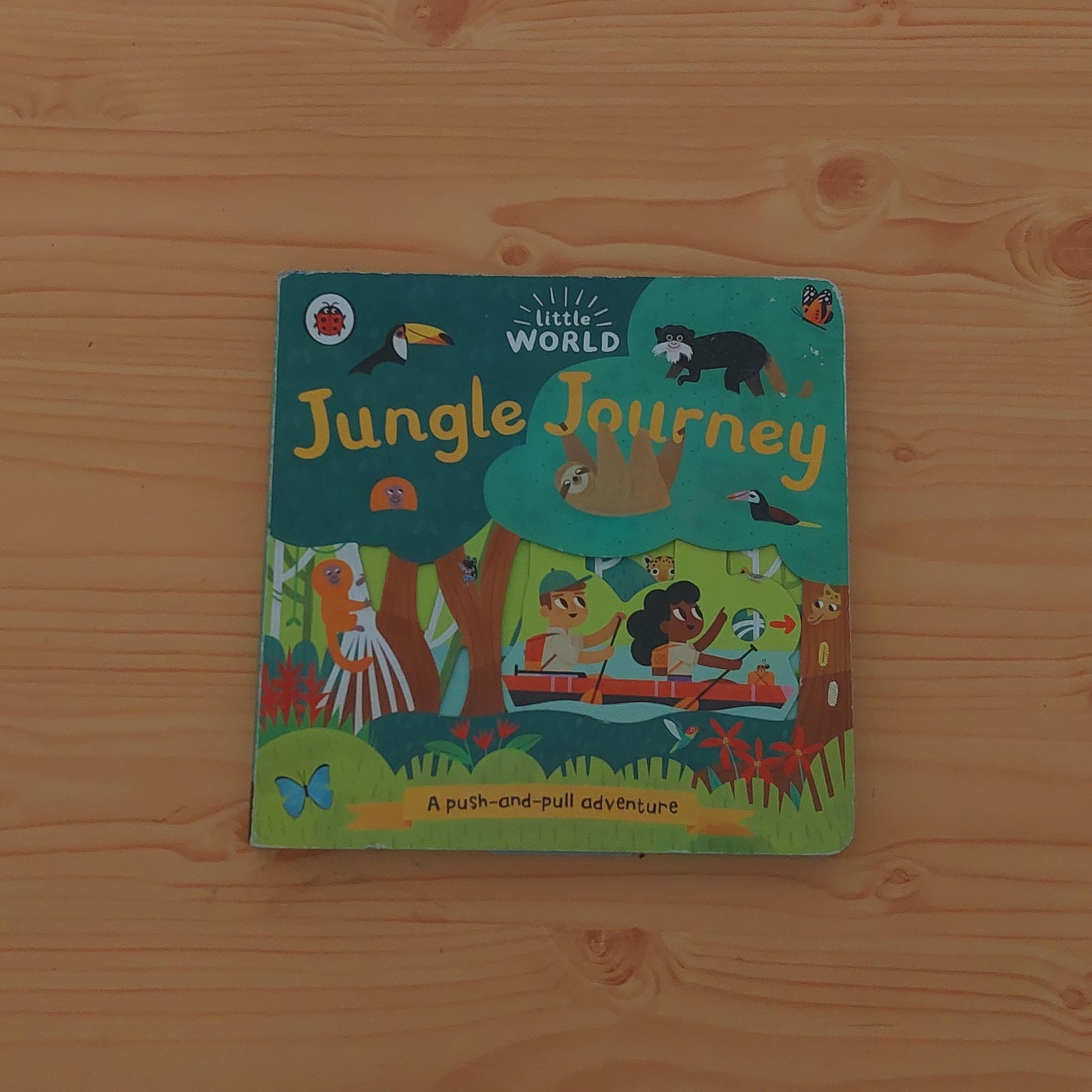 Jungle Journey: a Push-and-Pull Adventure