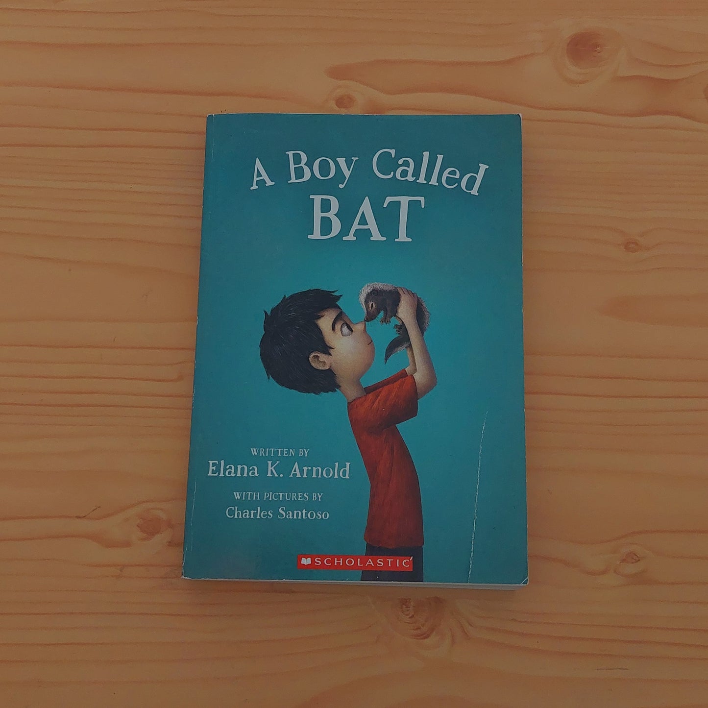 A Boy Called Bat