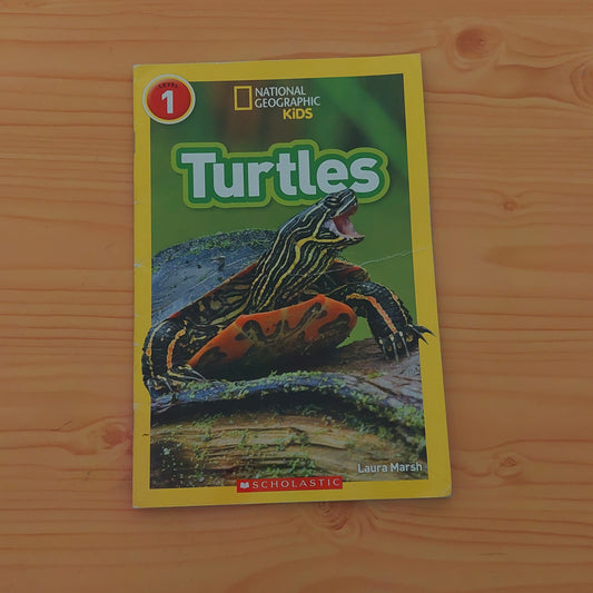 Turtles (Level 1)