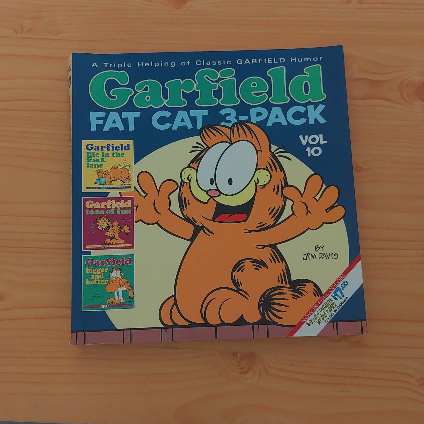 Garfield Fat Cat 3-Pack #10