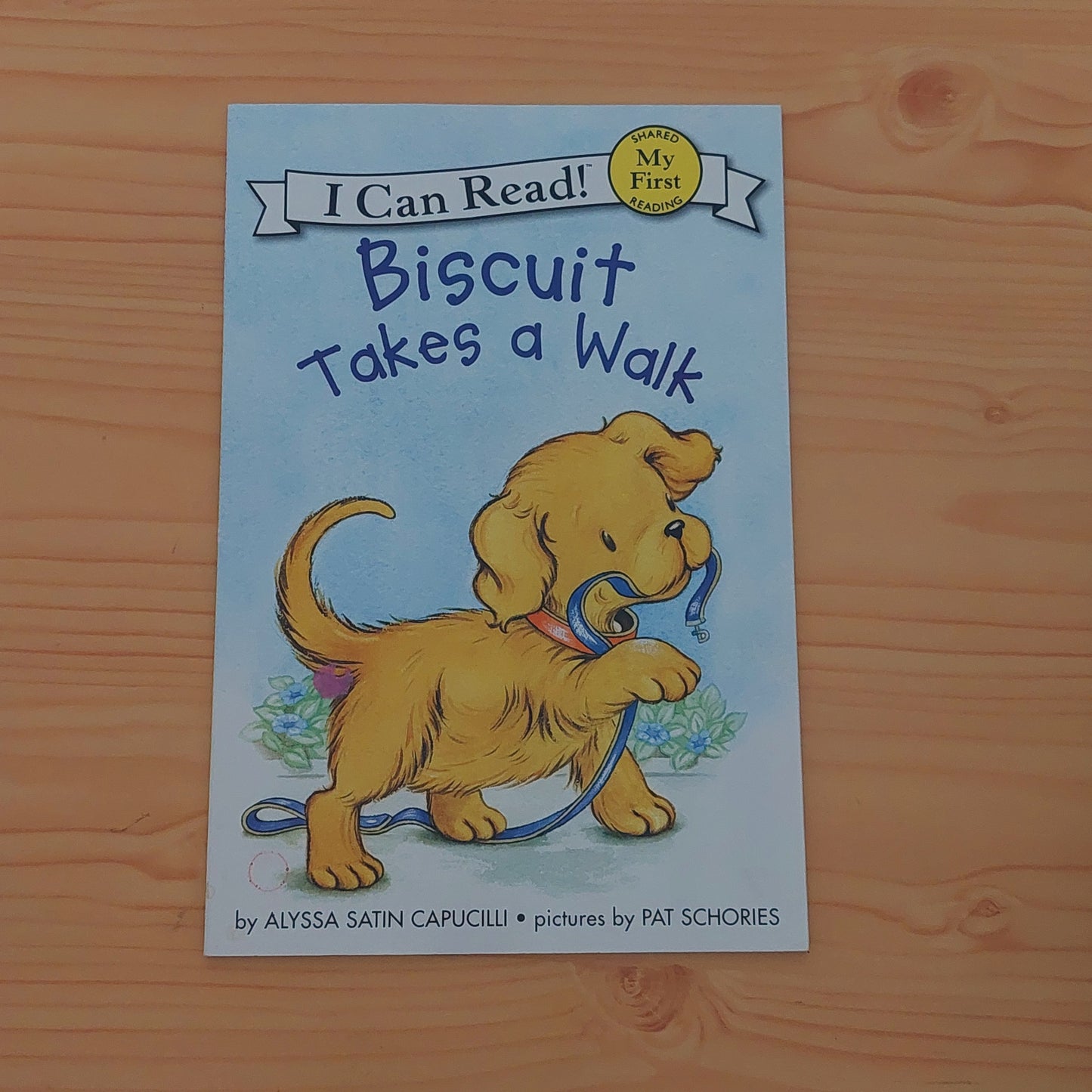 Biscuit Takes a Walk (My First Reader)