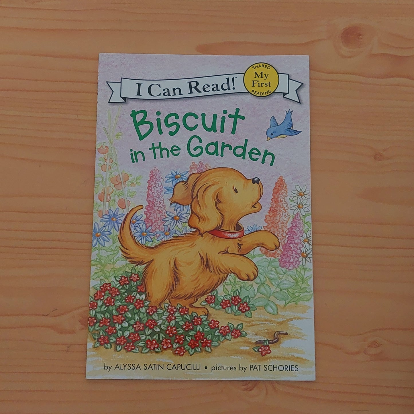 Biscuit in the Garden (My First Reader)